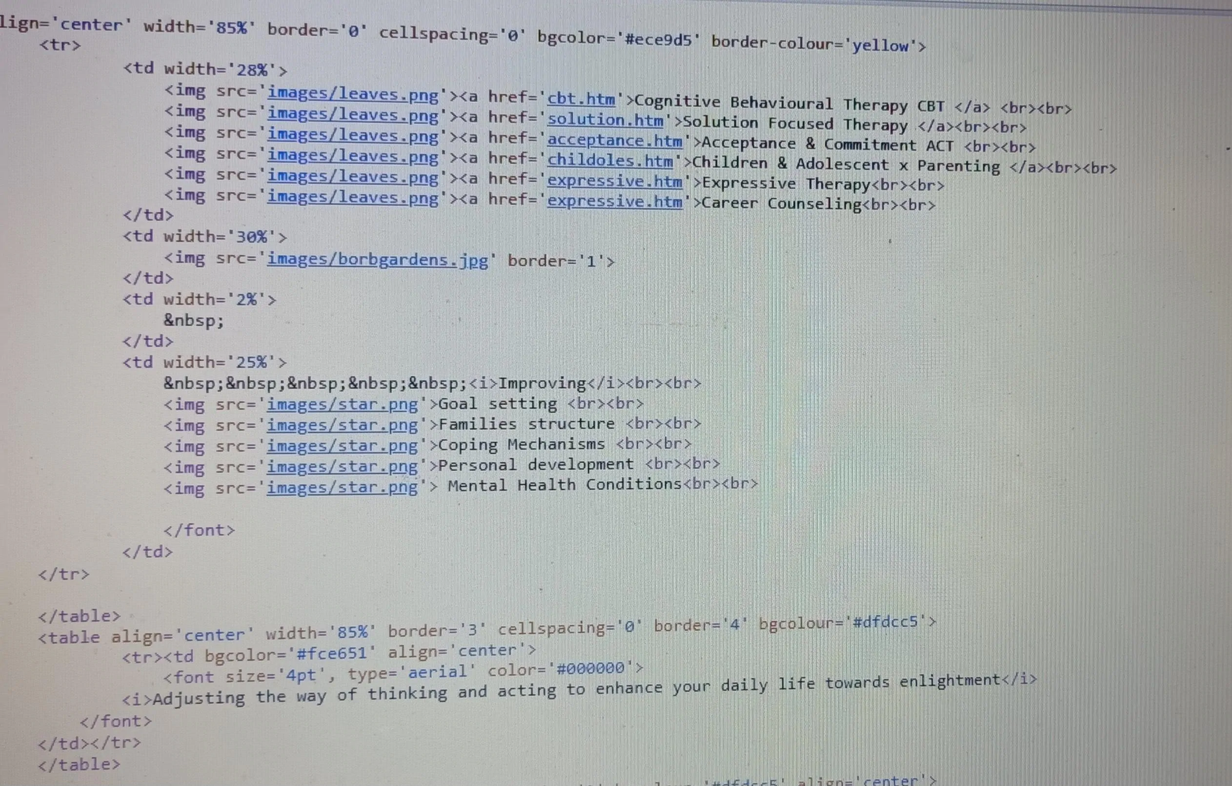 Coding activates important regions of the brain: language processing ...